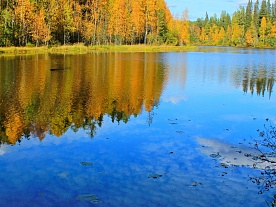 авторские фототуры по архангельской области лесное озеро осень золотая