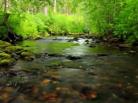 архангельская область. авторские фототуры по архангельской области. рыболовные туры в архангельской области. рыбалка на хариуса. фотопутешествия по северу, лето архангельская область. авторские фототуры по архангельской области. рыболовные туры в архангельской области. рыбалка на хариуса. фотопутешествия по северу, лето